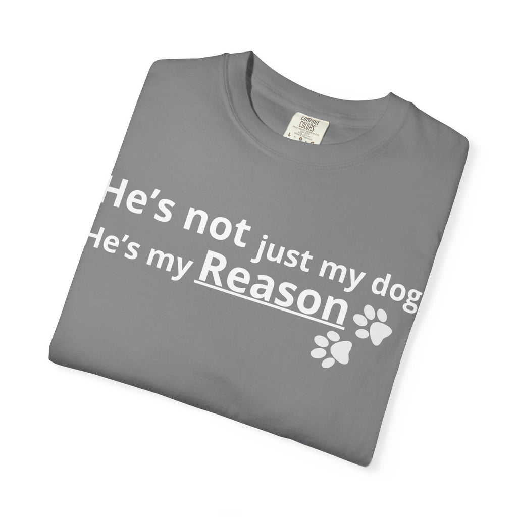 He’s My Reason Dog Lover T-Shirt | Emotional Pet Owner Shirt