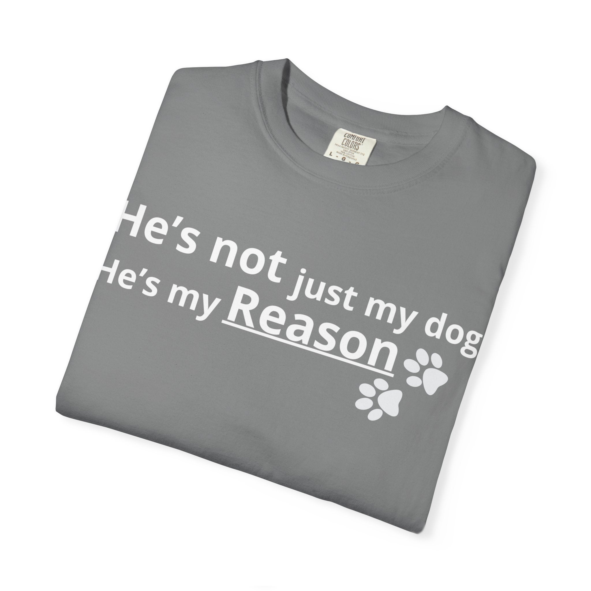 He’s My Reason Dog Lover T-Shirt | Emotional Pet Owner Shirt