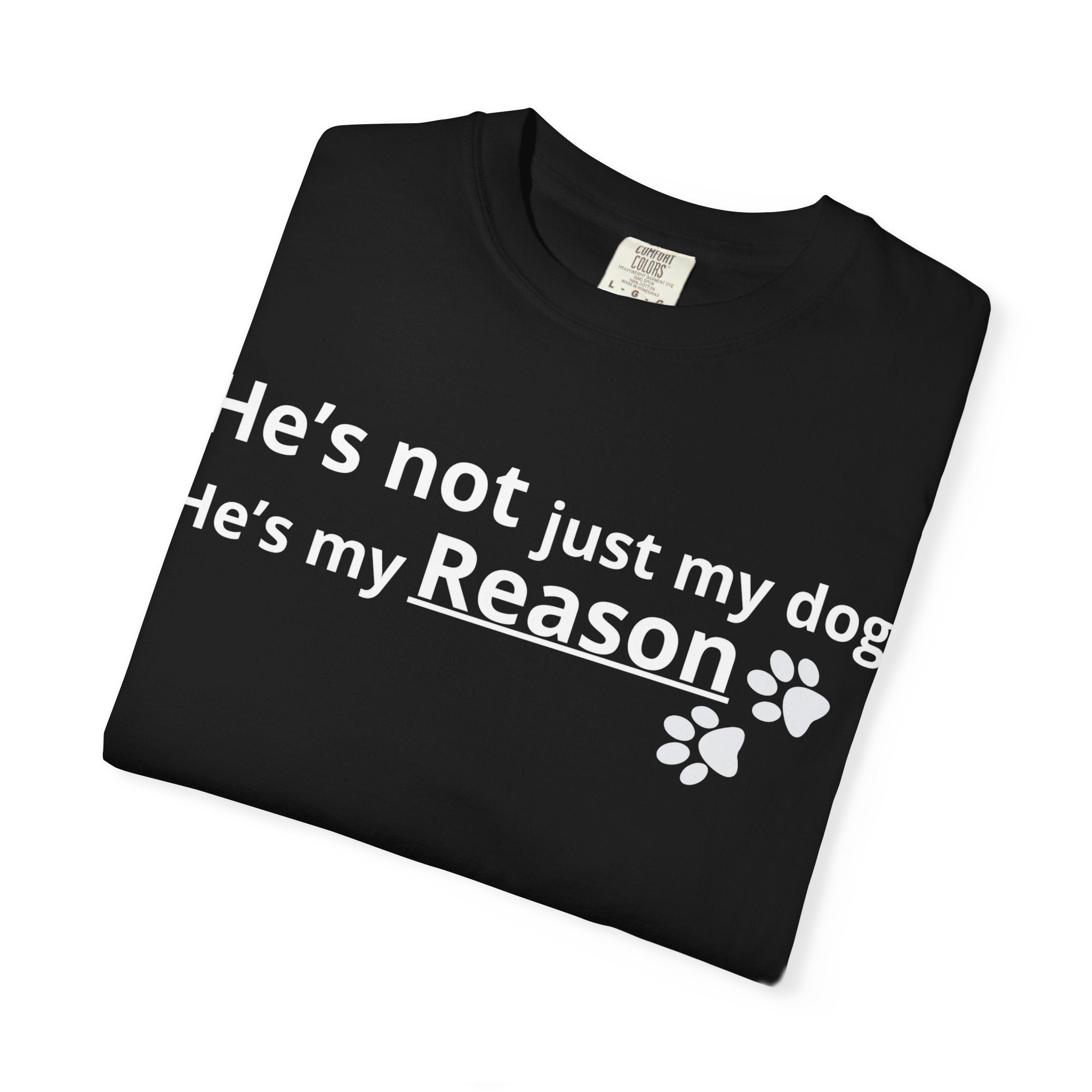 He’s My Reason Dog Lover T-Shirt | Emotional Pet Owner Shirt