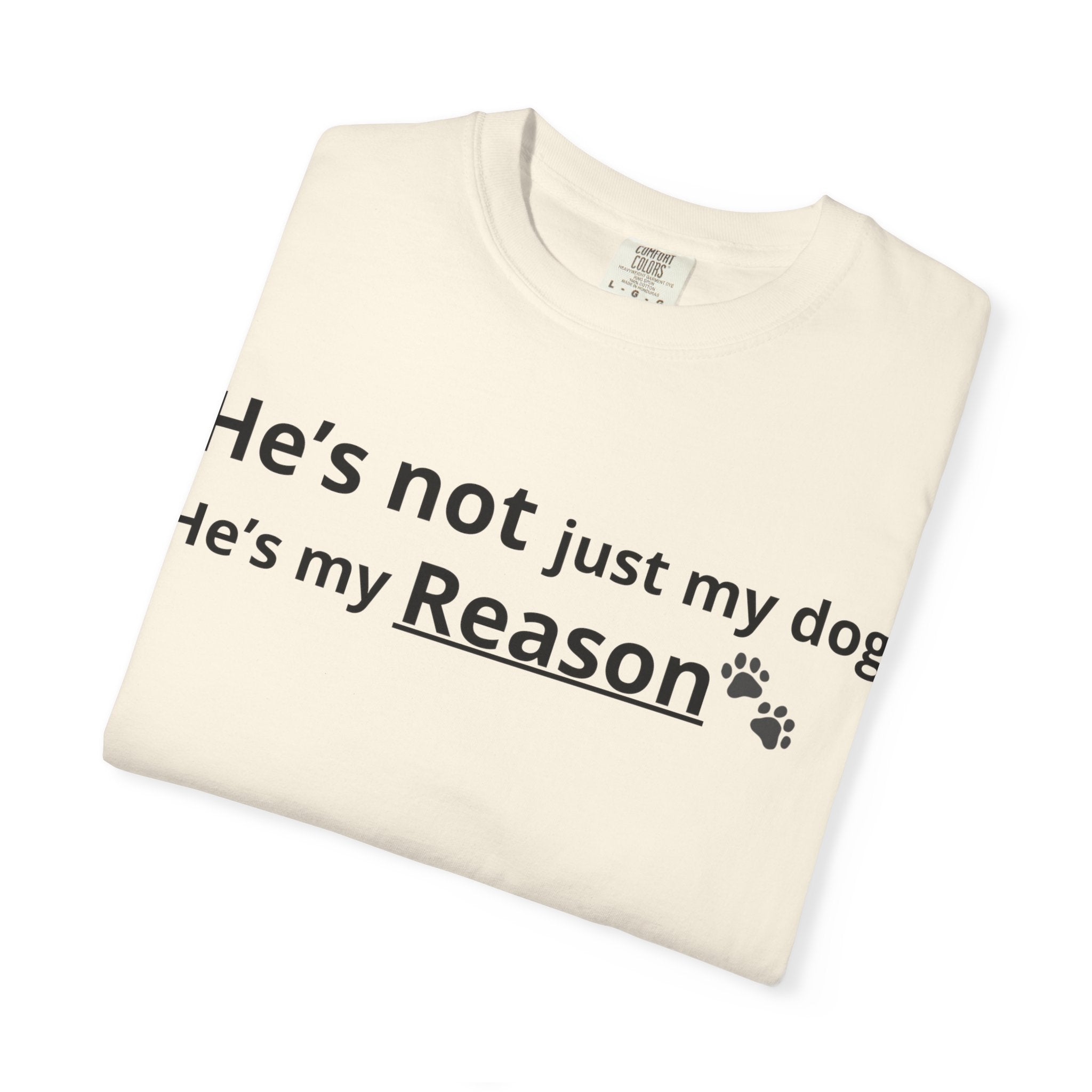 He’s My Reason Dog Lover T-Shirt | Emotional Pet Owner Shirt